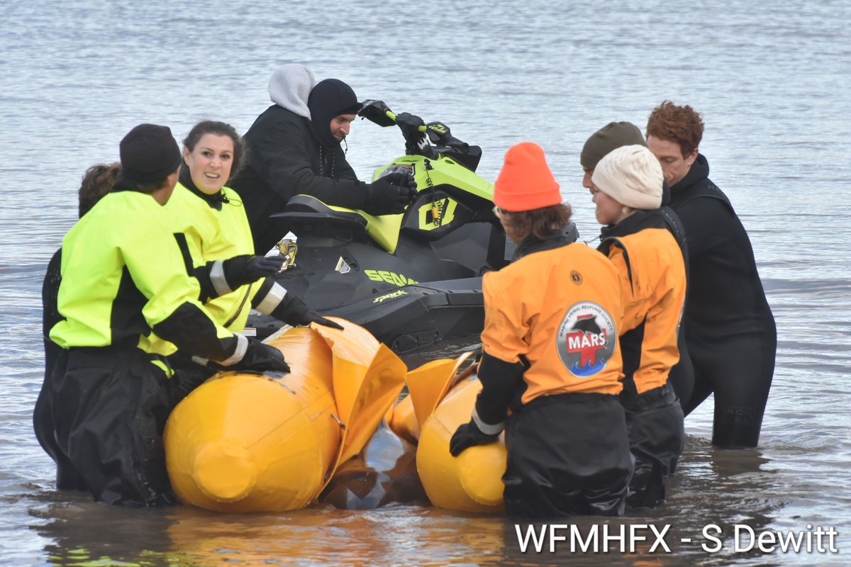 HfxMda's tweet photo. Rescue - MARS responded to a young beached pilot whale call in Cow Bay after walkers discovered the animal on shore.

Checking the health of the animal, MARS assembled rescue floats and transported the whale far enough from shore for it to openly swim. https://t.co/KEeQRJ6xMN