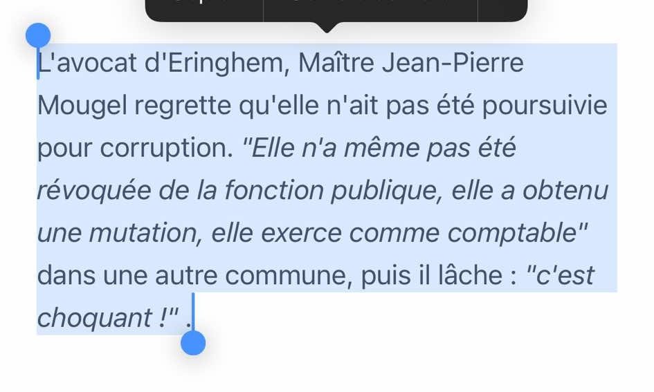 vinceflibustier's tweet image. Vous en voulez une bonne ? La fraudeuse a juste été mutée. Elle est toujours fonctionnaire.