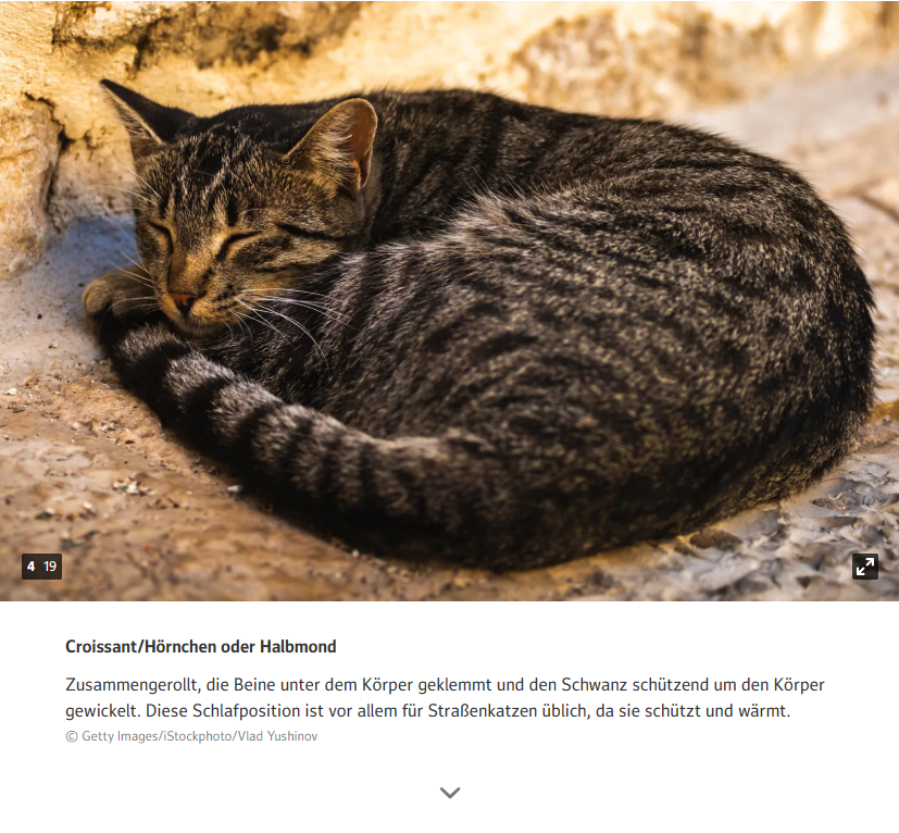 Ich musste doch recht hart schnaufen als ich die Namen der Kadsenschlafpositionen studierte