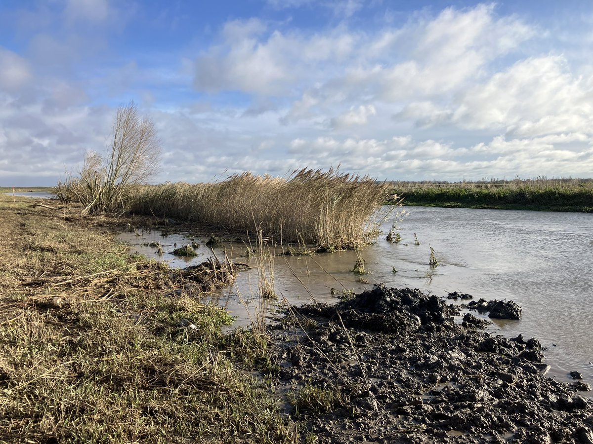 Some pictures of our PSCA works with the <a href="/EnvAgency/">Environment Agency</a> at the River Nene downstream of Dog in a Doublet. The current dredging of the channel is being carried out whilst the dry silt from the previous cycle of dredging is levelled and formed into widening the flood defence bank.
