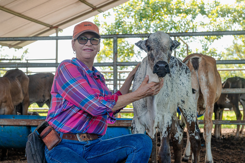 RohiniKohli1's tweet image. A busy day here at #COP30! Great to join Cambodia &amp;amp; Uganda to hear how they’re unpacking NDCs &amp;amp; NAPs in agrifood systems with @FAO-@UNDP&apos;s #SCALA programme support

Grateful to @IKI_Germany @_BMUKN @Anne_Roth @BMLEH_Bund for championing this key sector for climate &amp;amp; development