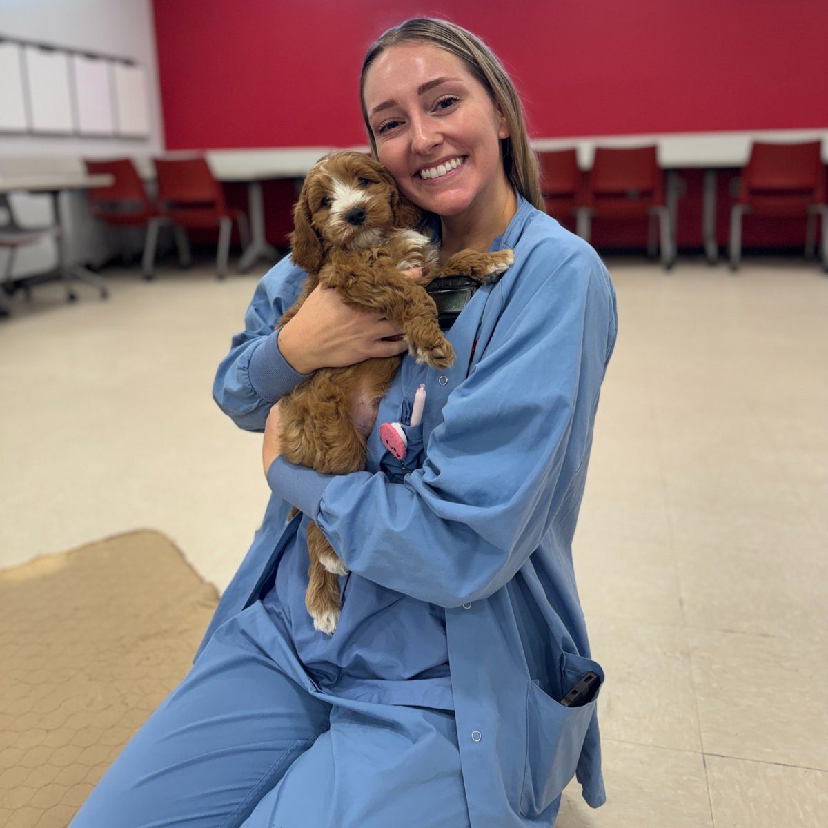 StonyBrookMed's tweet image. Did somebody say 🗣️PUPPY BREAK?! 🐶 A big thank you to #StonyBrook University Hospital’s Graduate Medical Education team for bringing some pawsitive energy to our resident physicians with a little puppy therapy! 🐾 #PetTherapy