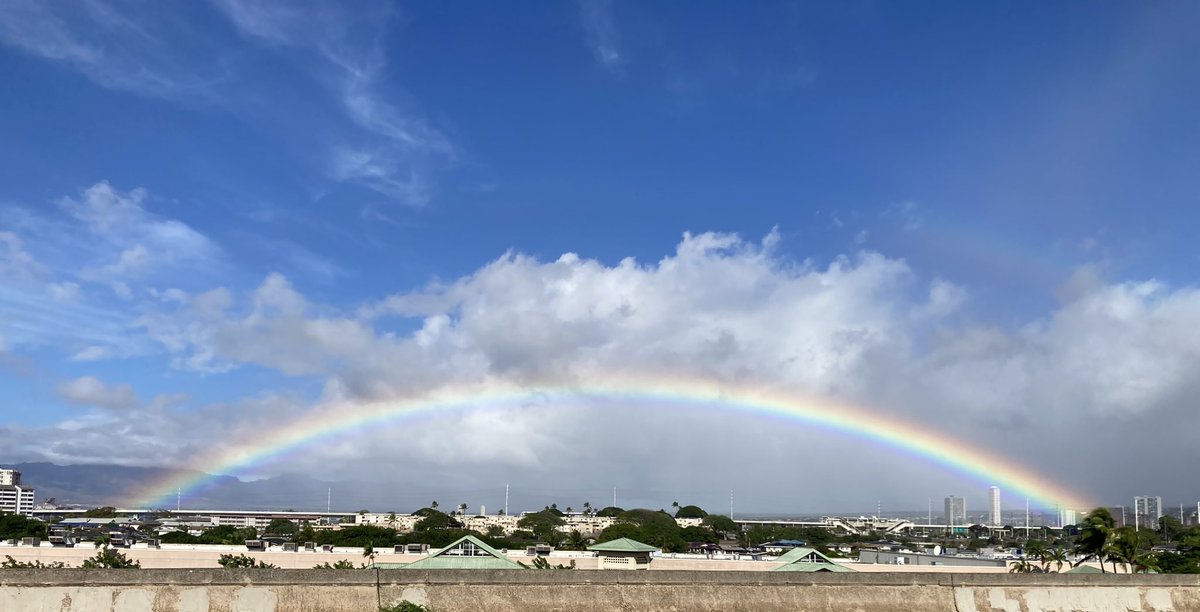 makolanieth's tweet photo. Rainbow detected 🌈
Happy Hump Day 🐱 https://t.co/hlHKcoFZYl