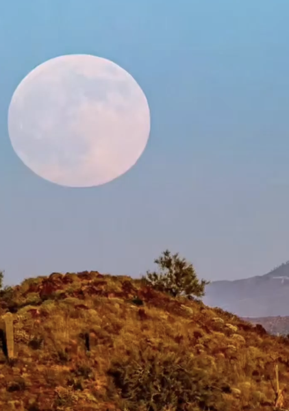 Lowell Observatory tweet media