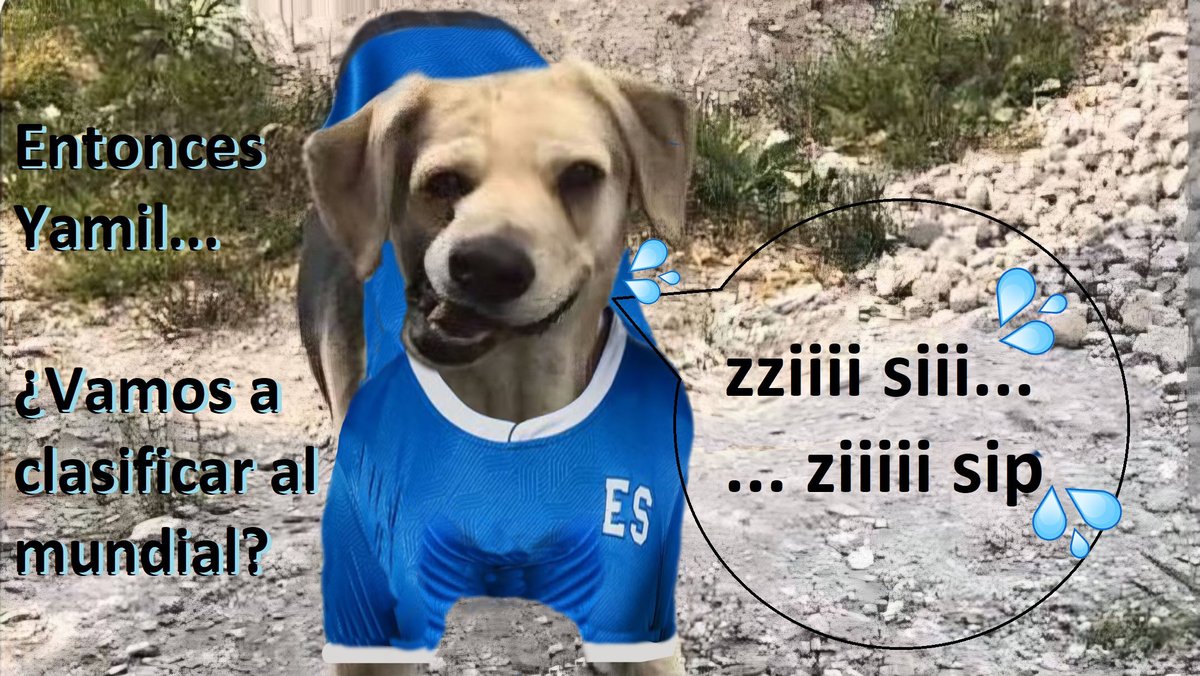 unAlienista's tweet image. 🤣🤣🤣🤣🤣🤣🤣🤣🤣