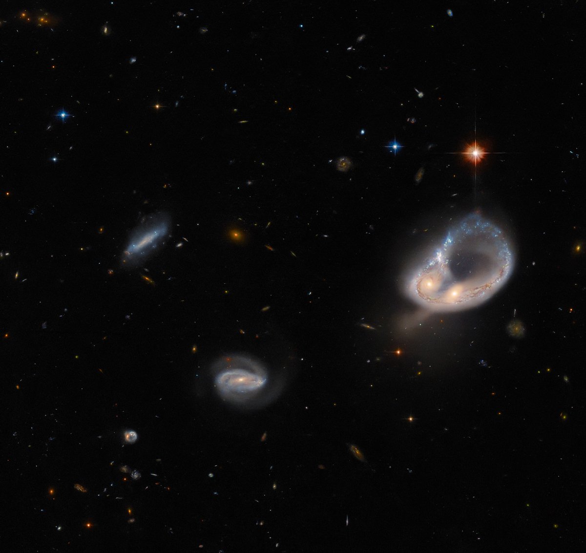 WorldAndScience's tweet image. A spectacular galaxy merger known as Arp-Madore 417-391

The merging galaxies are distorted by gravity and twisted into a colossal ring, leaving their cores nestled side by side

(Credit: ESA/Hubble &amp;amp; NASA, Dark Energy Survey/DOE/FNAL/DECam/CTIO/NOIRLab/NSF/AURA, J. Dalcanton)