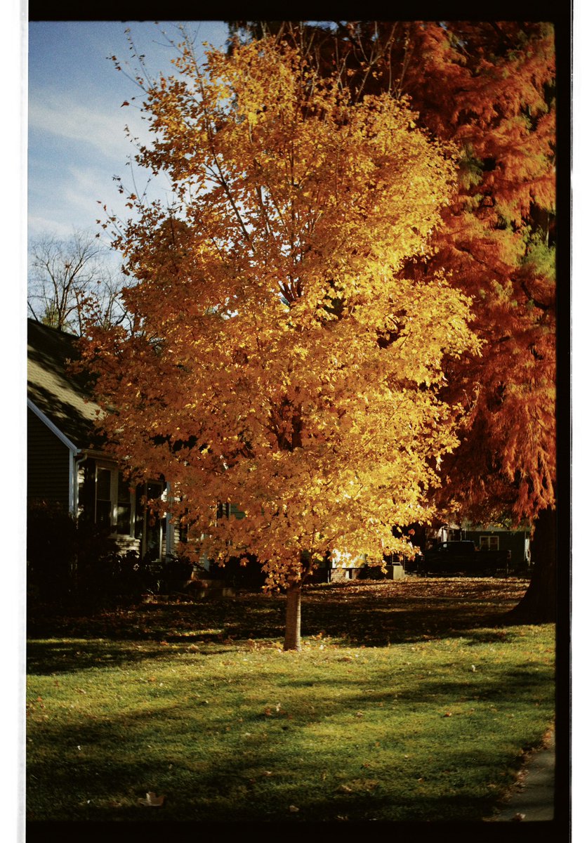 bk_moore's tweet image. Home lately.