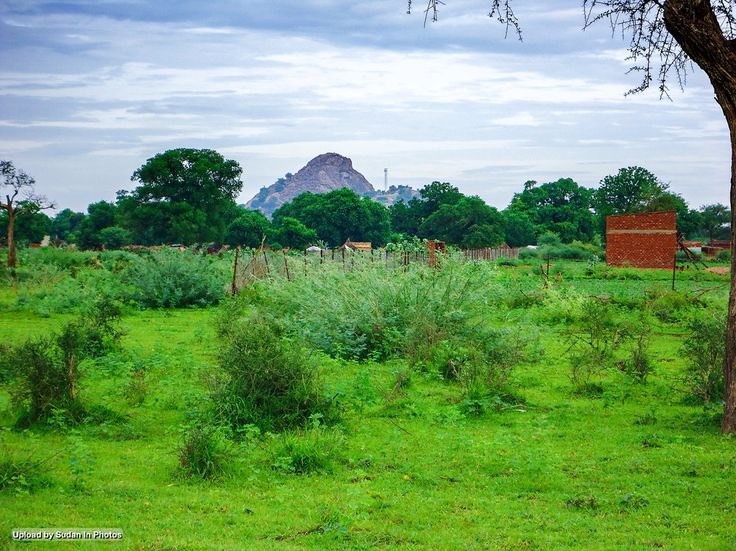 tmrrah9's tweet image. #تمرة💢|| معلومة: 

السودان 🇸🇩 جنة على الأرض وفيه اماكن طبيعية بكر غير مكتشفة ، ويعتبر احد انظف بلدان افريقيا 

شعب مسلم ونظيف
شعب قبلي وملتزم بعاداته وتقاليده 
شعب مرتب وغير غشاش او وسخ

فرحت جداً بدعم مملكتنا الحبيبة السعودية🇸🇦للسودان الغالي

 #السودان_بقلب_بن_سلمان