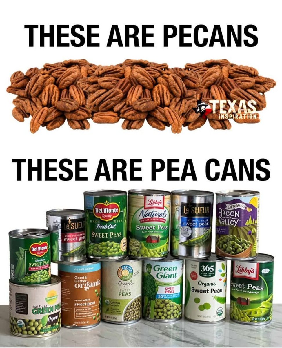 Ruth Institute (@ruthinstitute) on Twitter photo 