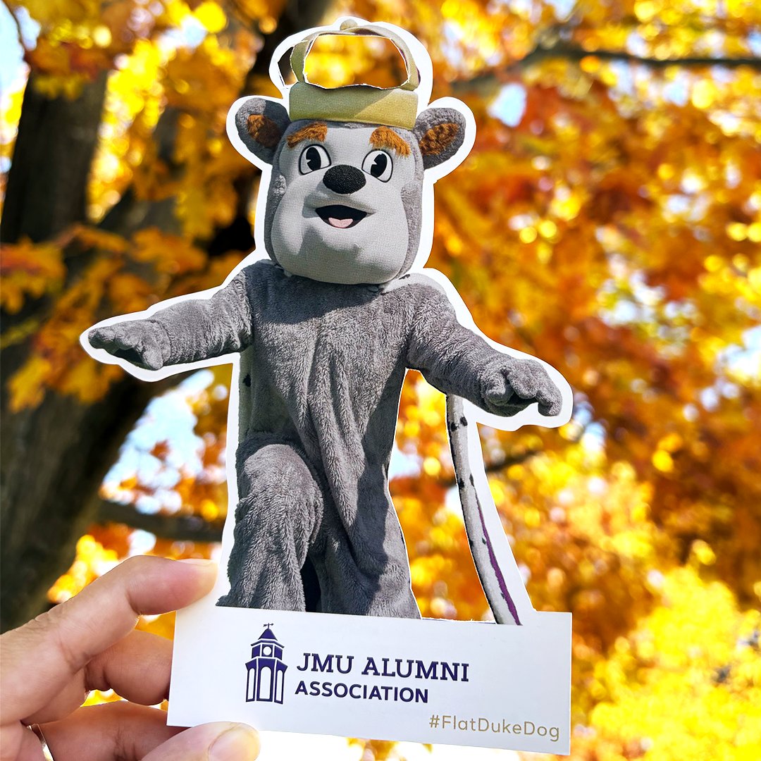Spotted among the fiery orange of fall, Duke Dog is living the season in style! 

Take Flat Duke Dog on your own autumn adventures. 
Get yours today: alumni.jmu.edu/s/1591/18/inte…

#WhereIsDukeDog #FlatDukeDog #JMUDukes