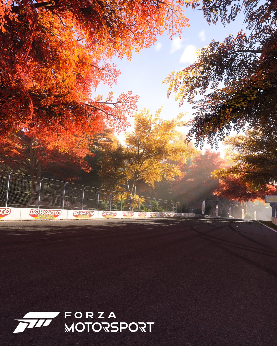 Forza Motorsport en Español tweet media