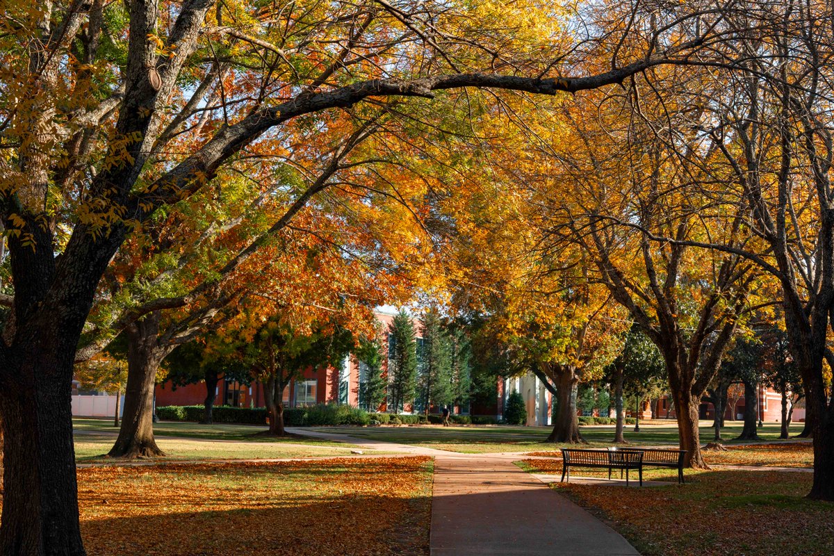 Is it just me, or do we look good in orange? 🍂🍁