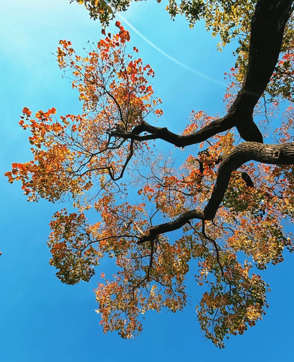 Maybe one day I’ll stop burning bridges
before my feet even touch them