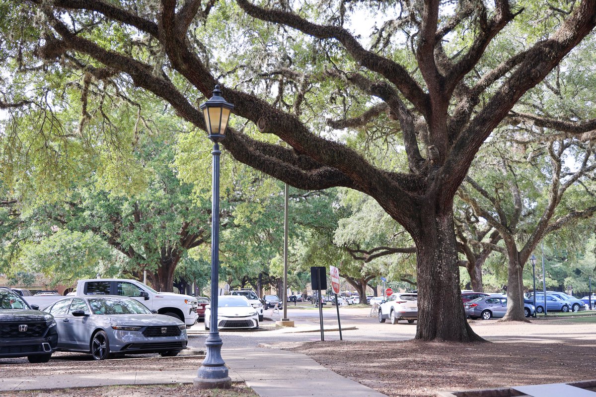 LSU Residential Life tweet media