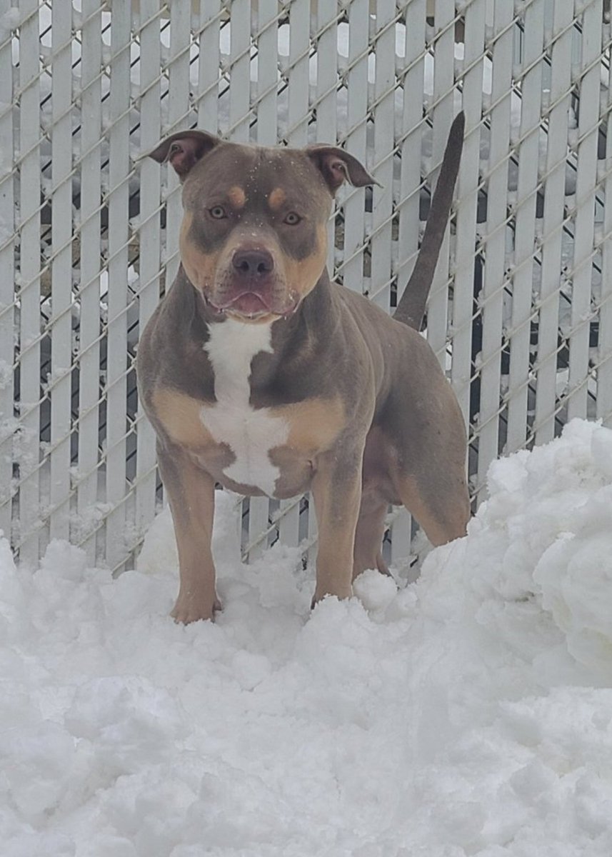 ClockWorK tweet media