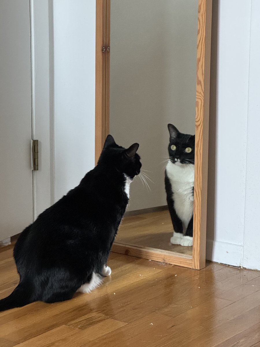 One must meditate upon facing the enemy every day...