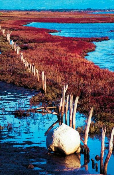 Καληνύχτεεεεεεες 
Δέλτα τού Έβρου.