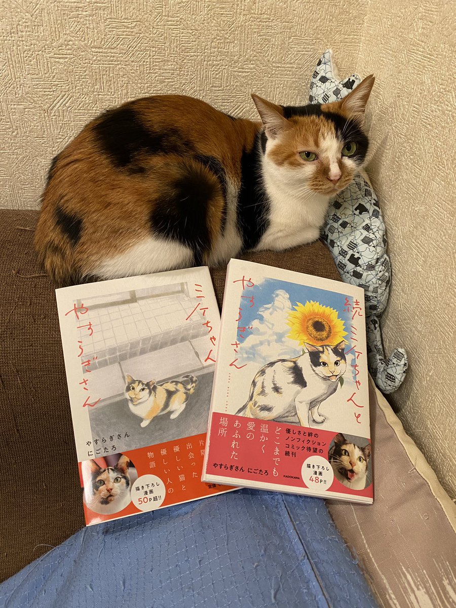 ミケちゃん (@ojm52811) / Posts / X