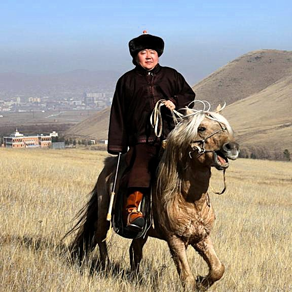 MuseoCulturas's tweet image. Ven al #taller &quot;La importancia del caballo en Mongolia&quot;. Descubre el valor de este equino. Imparte: Rocío Bautista y Jessica Abundez, Área Educativa.

🗓️#Sábado 22 de noviembre
📌Sala Educativa del #MNCM
🏛️Moneda 13, Centro Histórico, #CDMX
📝n9.cl/4899d
⏰12 h
🪑20