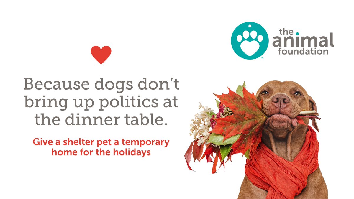 The Animal Foundation tweet media