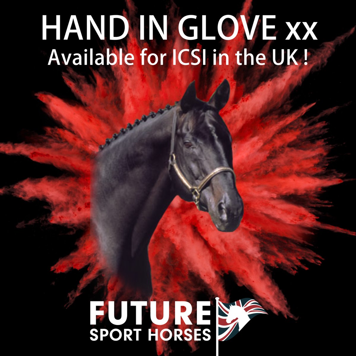 💥 Legendary HAND IN GLOVE semen available for ICSI ! 🚀 - Click the link for more information - mailchi.mp/d42c9301e72c/e…