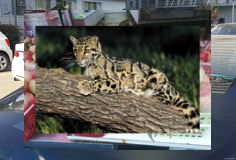 638991801049153075_369Les crudités avec de la sauce tzatziki à la menthe, fraîcheur supplémentaire 🥒638991801049153075_369