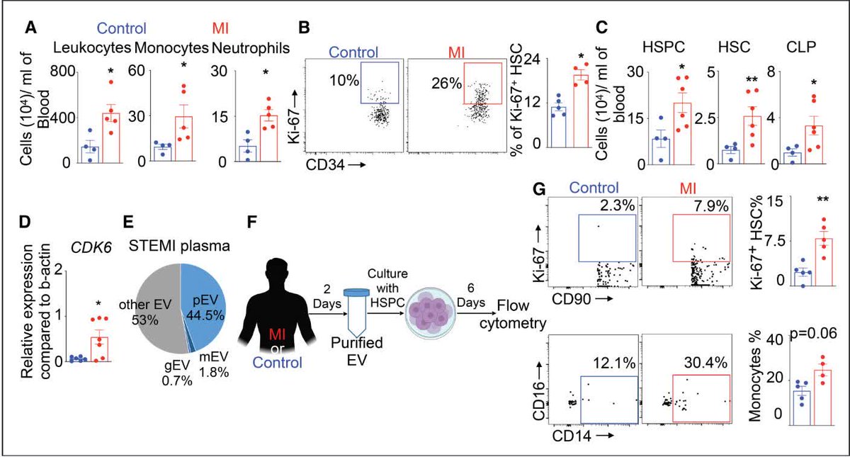 CircAHA's tweet image. Platelet-derived extracellular vesicles generated after myocardial infracture induces hematopoietic stem and progenitor cells proliferation - highlight potential new therapeutic targets @ParthaDuttaLab @Krispy_ed @ParthaDuttaLab ahajrnls.org/4a0Wy2E