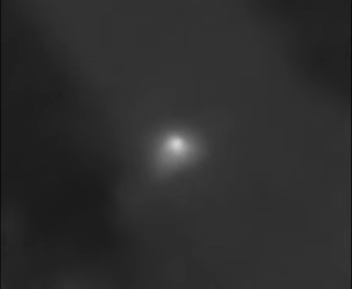 Sophia Gad-Nasr tweet media