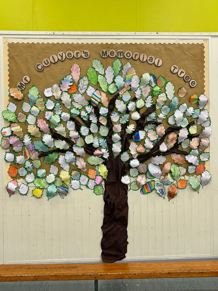 Amberley Primary tweet media