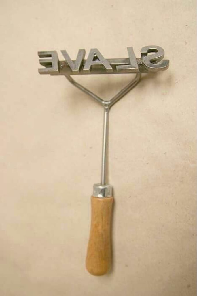 NoWayOut tweet media