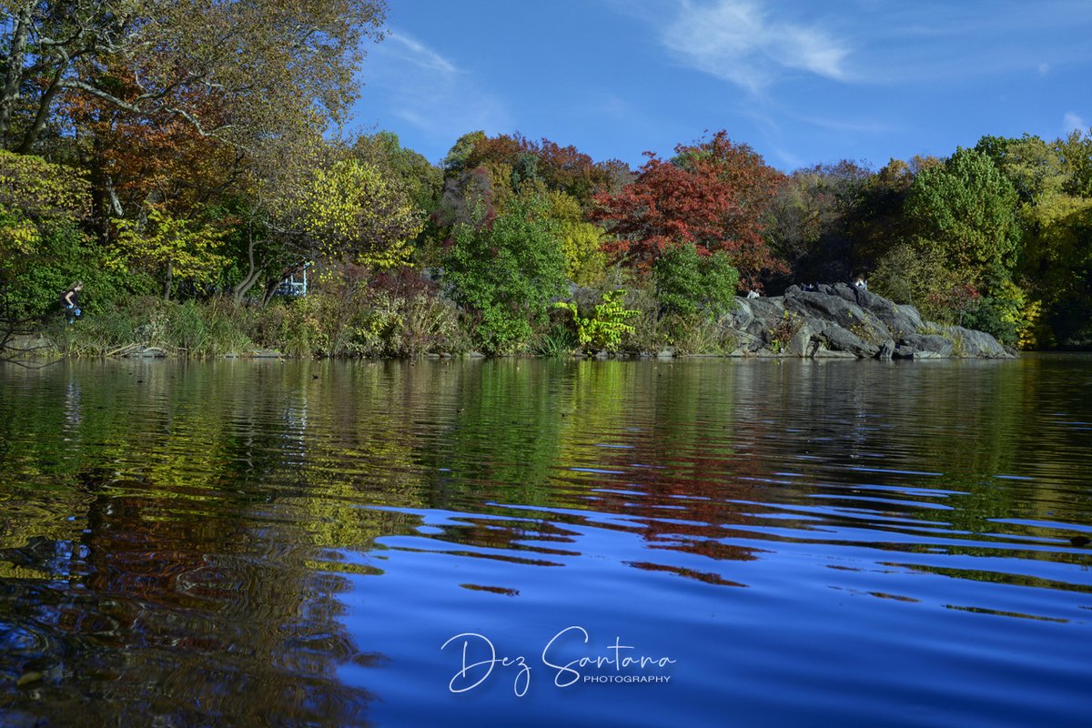 DezSantanaPhoto's tweet image. Autumn Is Calling III 🍁🍃 🍂
#autumn #fallcolors #nyc