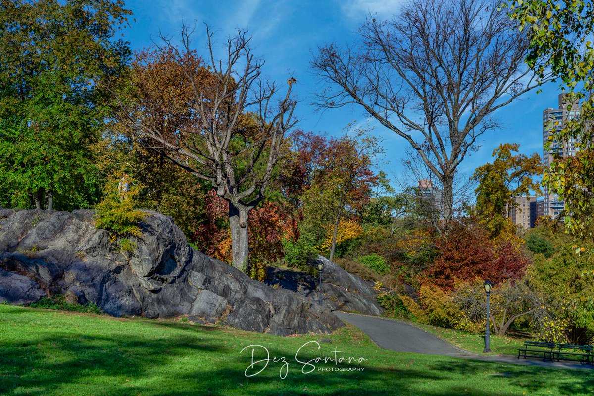 DezSantanaPhoto's tweet image. Autumn Is Calling III 🍁🍃 🍂
#autumn #fallcolors #nyc