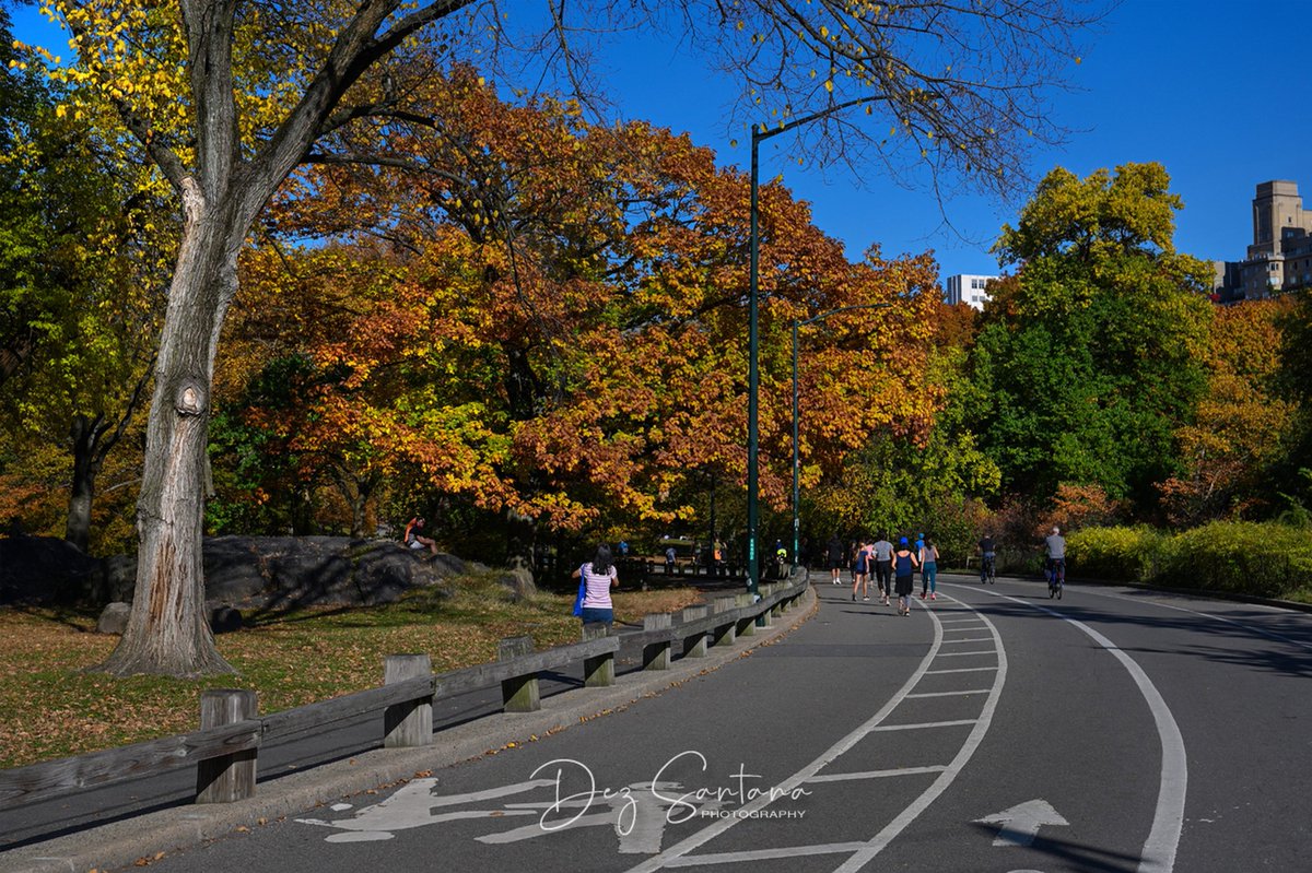 DezSantanaPhoto's tweet image. Autumn Is Calling III 🍁🍃 🍂
#autumn #fallcolors #nyc