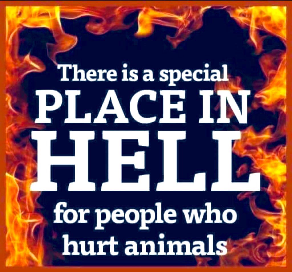 DogsAreFamily_'s tweet photo. @TheophobosIV https://t.co/E1qJZdREIS