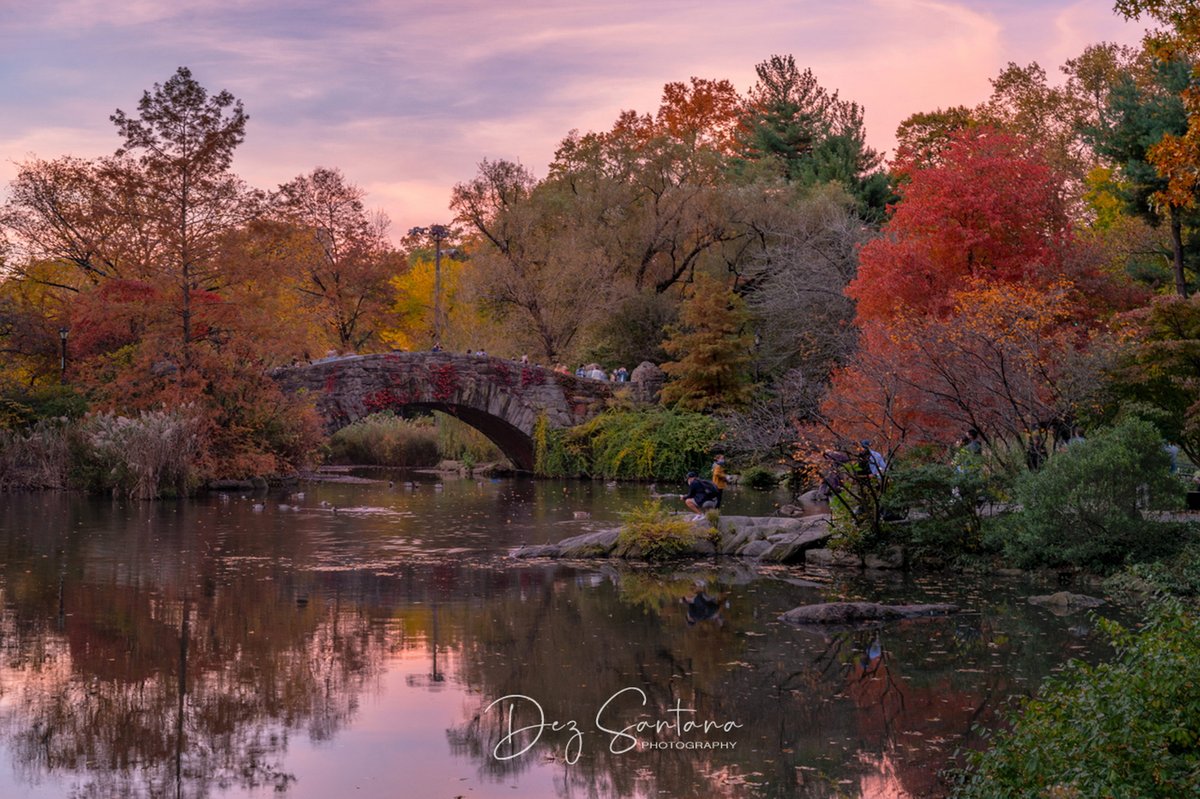 DezSantanaPhoto's tweet image. Autumn Is Calling III 🍁🍃 🍂
#autumn #fallcolors #nyc