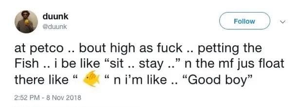 piastrimaxxer's tweet image. 