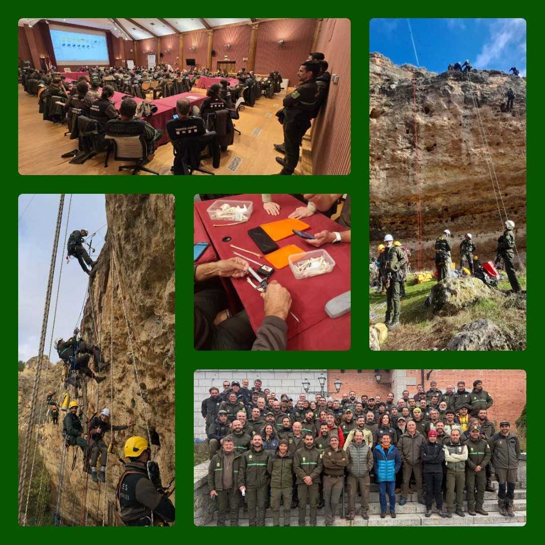 Estos días #AgentesMedioambientales de toda España se han reunido en #CENEAM para  realizar las XI Jornadas Nacionales de Trabajos en Altura para la Conservación de la Naturaleza, como especialistas en intervenciones de difícil acceso han intercambiado procedimientos y prácticas.