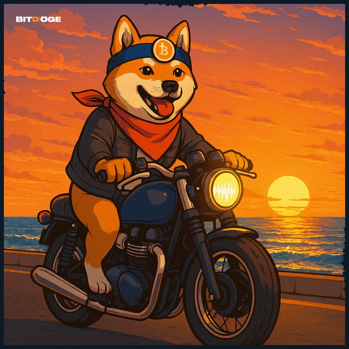 BitDogeETH's tweet image. WOOFmornin!

Bitdoge&apos;s mood: bullish.