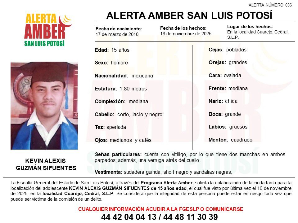 FiscaliaSLP's tweet image. #FGESLP | Inició una Alerta Amber para localizar a un adolescente de 15 años de edad. 

Más información: n9.cl/rpdxb5