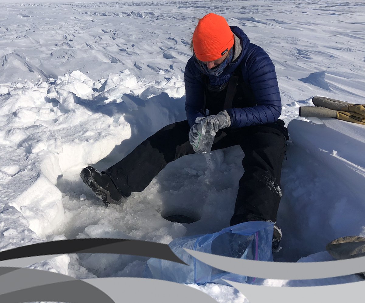 Taiga Lab does all kinds of good for the NWT. From wastewater surveillance for infectious disease, to drinking water testing, to analyzing samples to support complex remediation projects, Taiga does it! 

Learn more: gov.nt.ca/ecc/en/service…