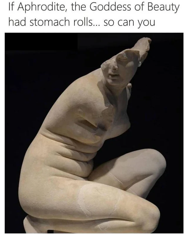 WholesomeMeme's tweet image. 