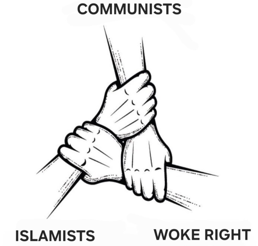TheRightMelissa's tweet image. Beware of this alliance. It’s a Psyop sent to derail President Trump’s restoration of the Republic &amp;amp; aid the fall of the west to Islam &amp;amp; eventually far left globalism