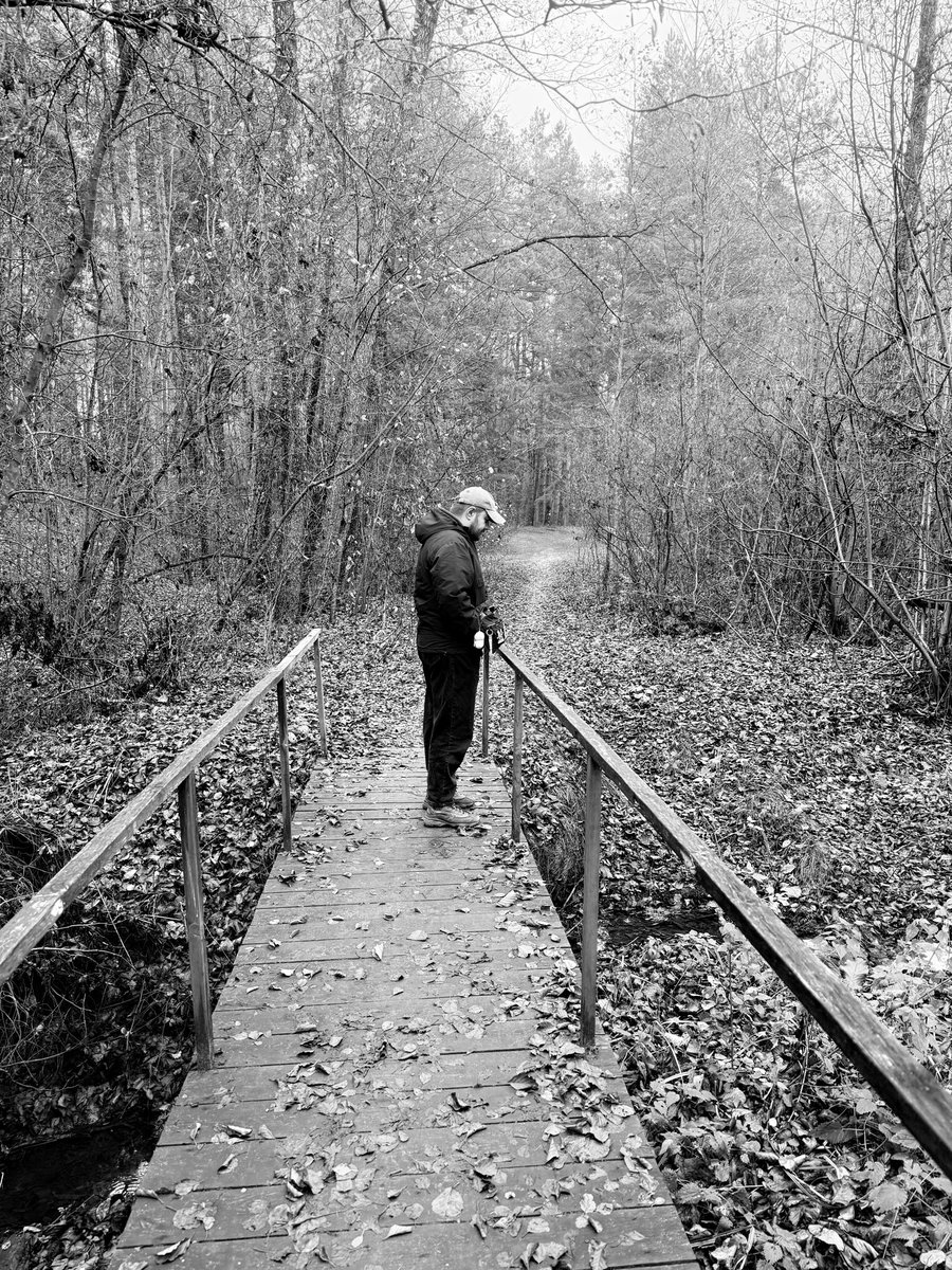 Знайшов у лісі осінній смуток