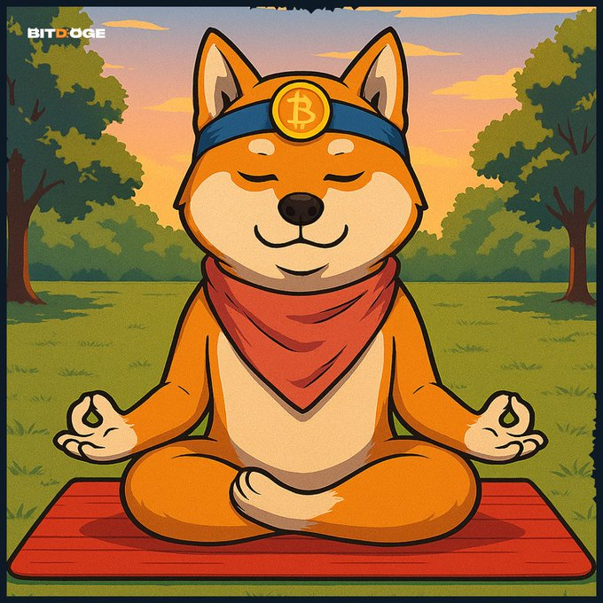 BitDogeETH's tweet image. Time to be patient 🐶