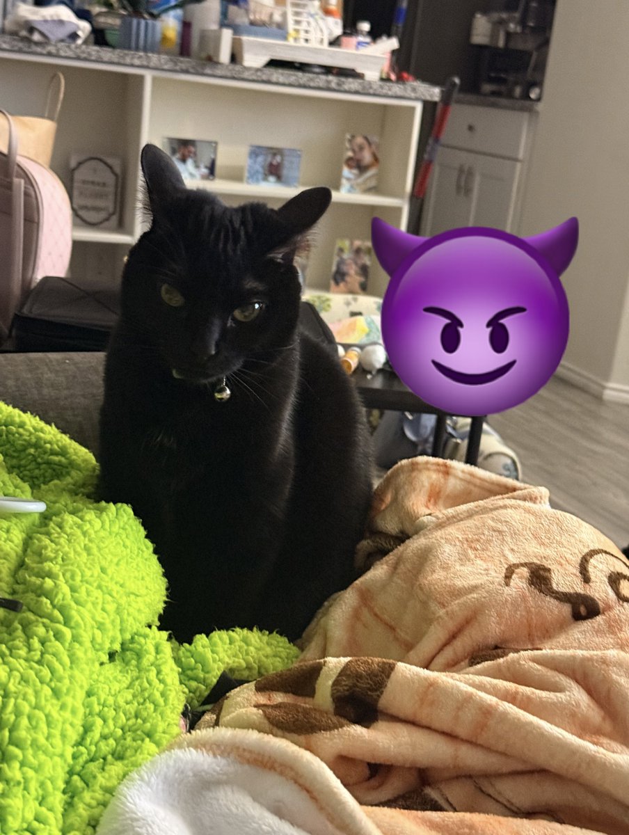 Brandon J. tweet media