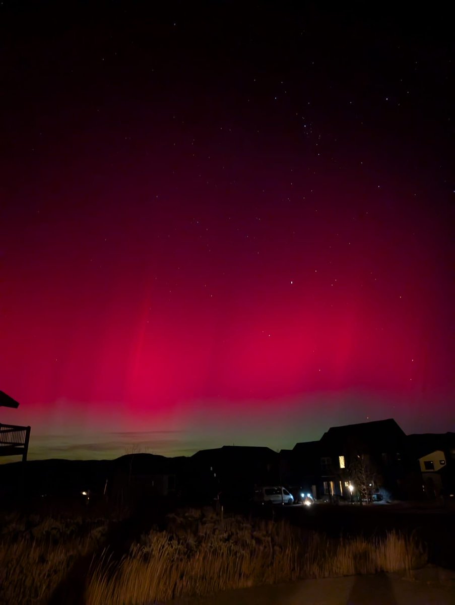 joepatane's tweet photo. Last week I witnessed the Northern lights, in Colorado! Perhaps it was my doggie’s LOVE shining up there in the Universe, or my dad and all the veterans on their remembrance day — either way, a truly special reminder that the greatest thing is to love &amp; be loved in return. 💕🐾🤗 https://t.co/4CdVNo8HIP