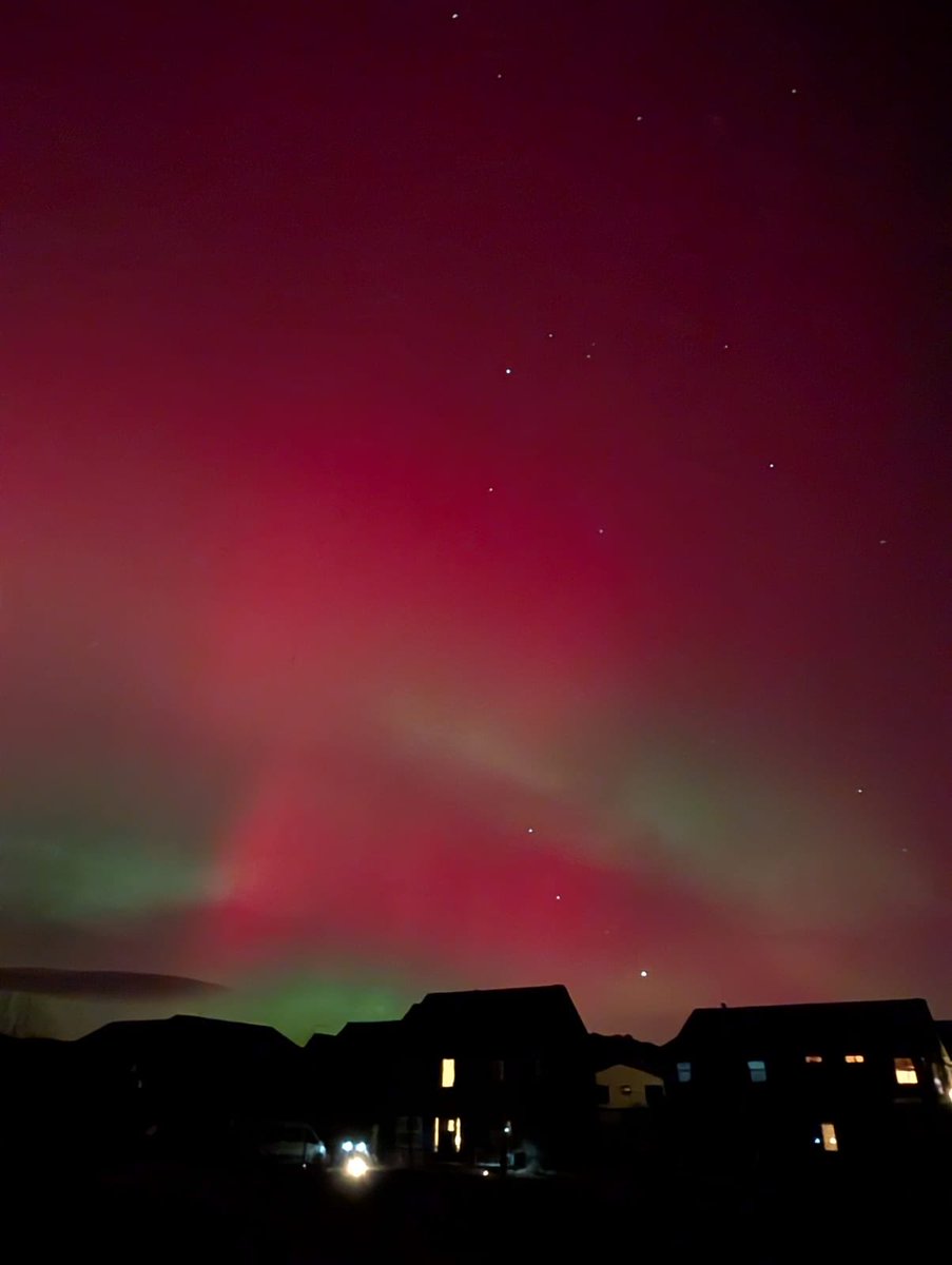 joepatane's tweet photo. Last week I witnessed the Northern lights, in Colorado! Perhaps it was my doggie’s LOVE shining up there in the Universe, or my dad and all the veterans on their remembrance day — either way, a truly special reminder that the greatest thing is to love &amp; be loved in return. 💕🐾🤗 https://t.co/4CdVNo8HIP