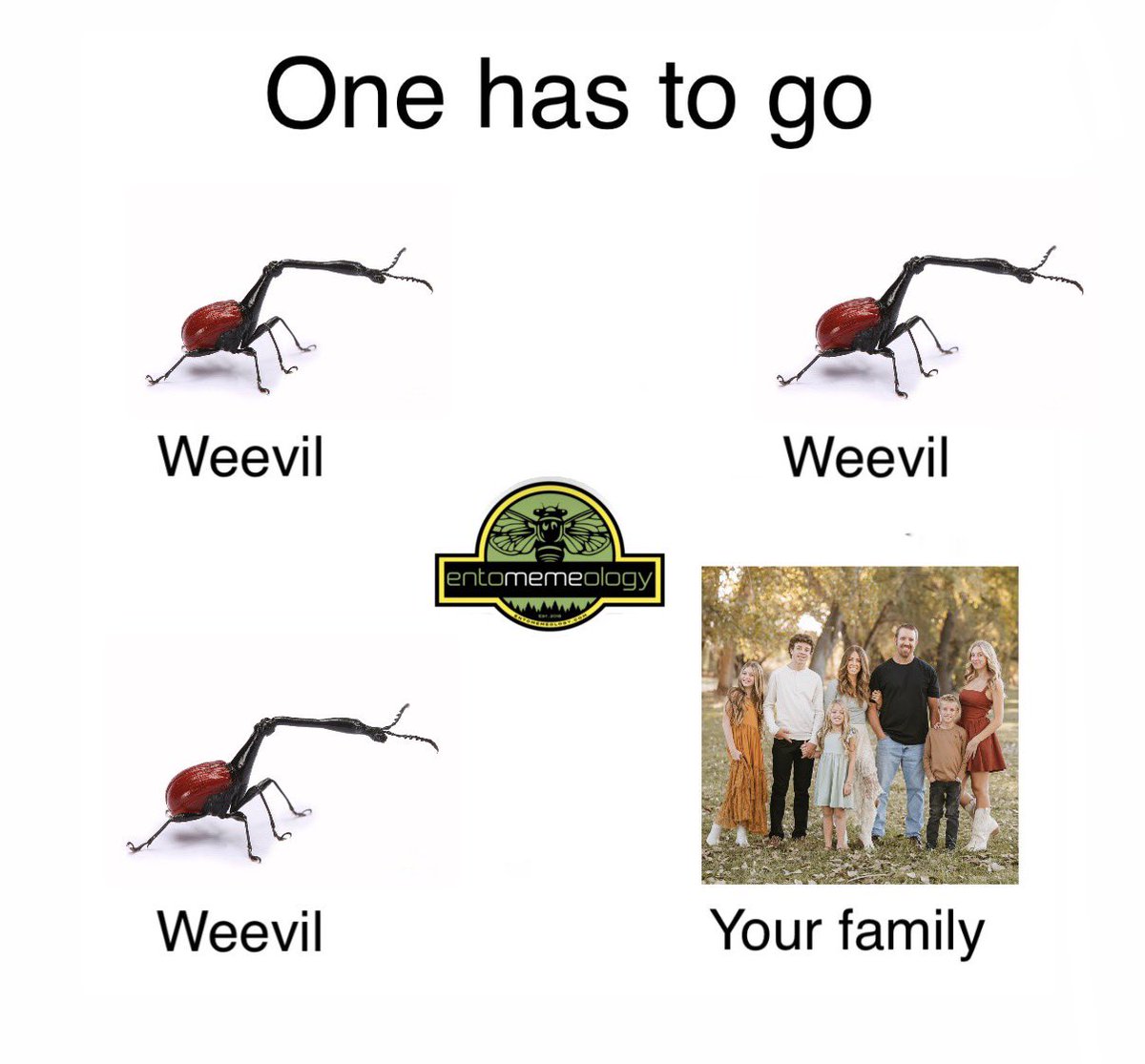 YOU KNOW WHAT DAY IT IS BUGFAM