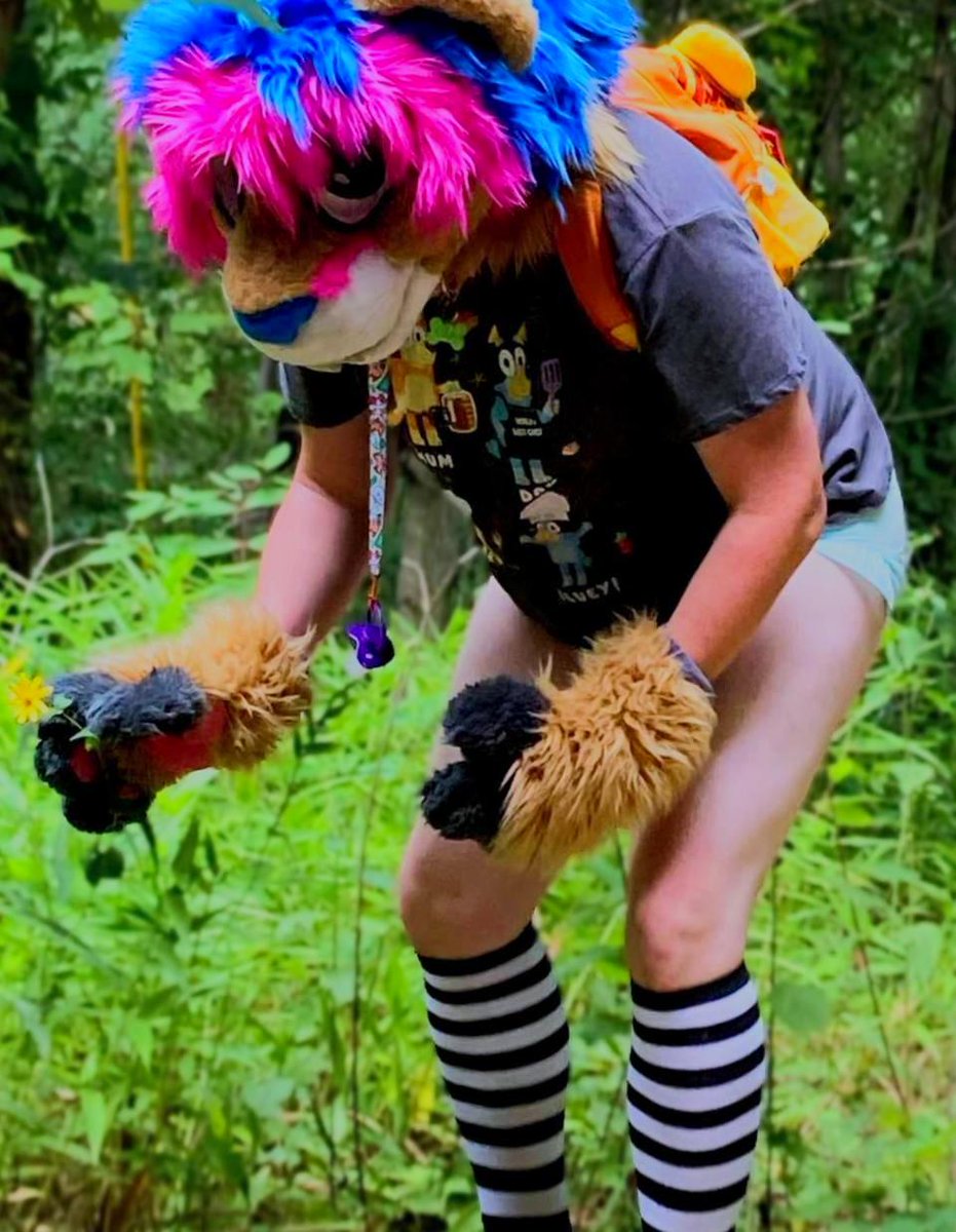 LionCubColin tweet media