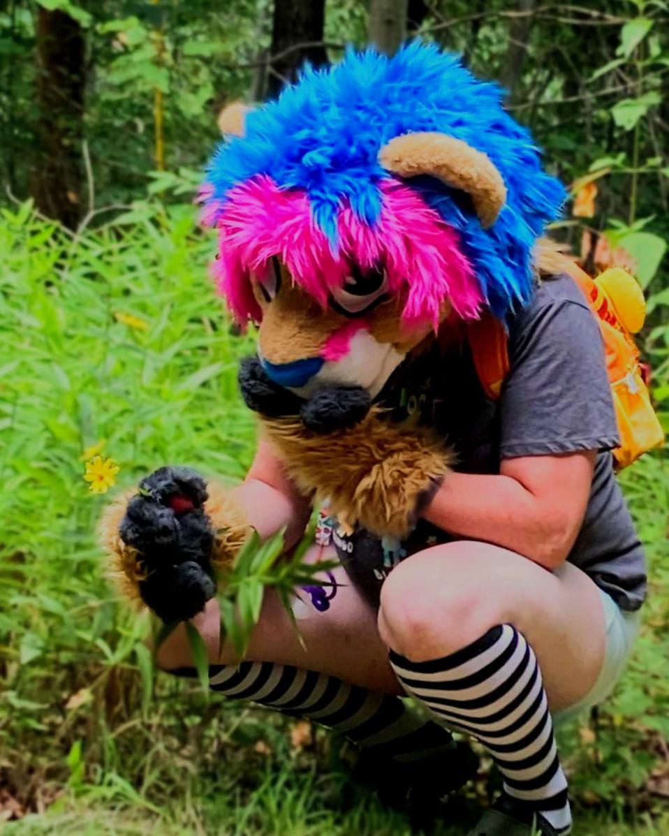 "It's so pretty!"

A little's hike with friends can lead to some cute little discoveries.

#ABDL #Babyfur #Fursuit #Ageplay #Diaper #BDF